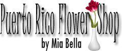 Puerto Rico Flower Shop-Floristeria Puerto Rico
