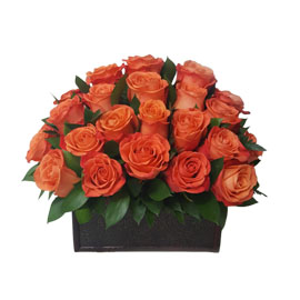 Orange Rose Arrangement
