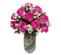 Fuchsia Roses Vased
